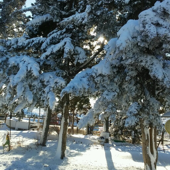 Meet your Posher, Shayli - Picture 3 of 6